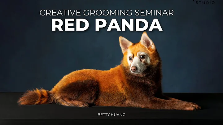 Red Panda Creative Dog Grooming Design by Betty Hu...