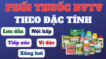 Phối thuốc theo đặc tính và hiệu lực | Lưu dẫn, nội hấp, tiếp xúc, vị độc, xông hơi,..