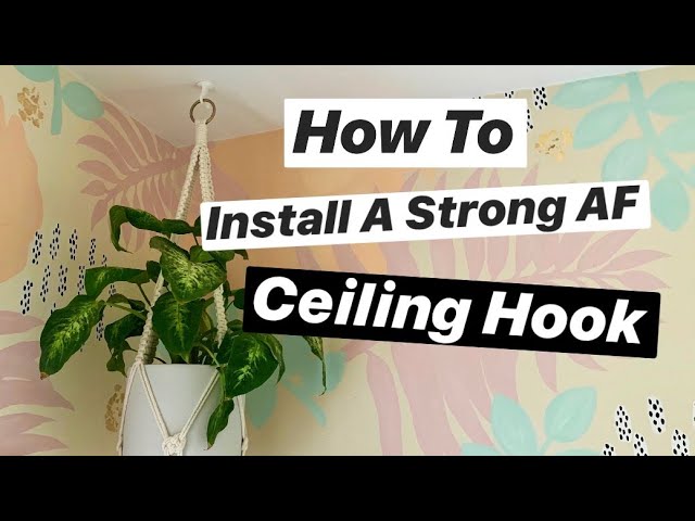 How To Install A Ceiling Hook Perfect For Hanging Plants You - How To Hang Something From Concrete Ceiling Without Drilling