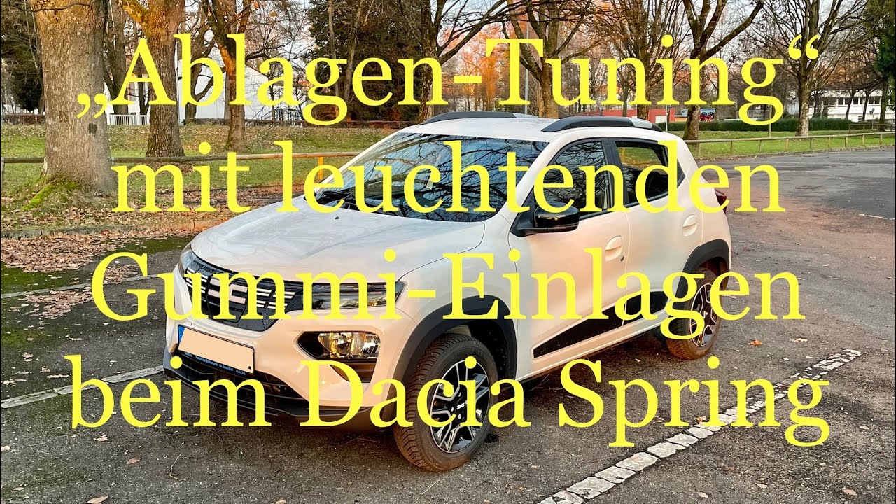 10 Zubehör für den Dacia Spring: Einlagen aus Gummi für die Ablagefächer  (leuchten im Dunkeln) 