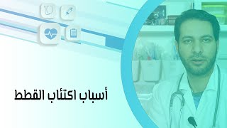 أسباب اكتئاب القطط