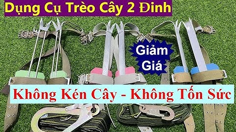 Guốc Trèo Cây 2 Đinh - Dụng cụ Trèo Cây Giá Rẻ | COMBO Móng Leo Cây + Dây Bảo Hiểm An Toàn Giá 150K