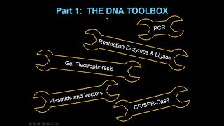 BIOL 107 - 19 - Biotechnology & Forensics (Lecture Nov 25, 2020)