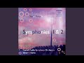 Capture de la vidéo Symphony No. 1: I. —