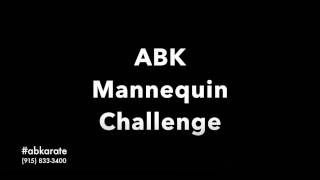 Mannequin Challenge -  AB Karate