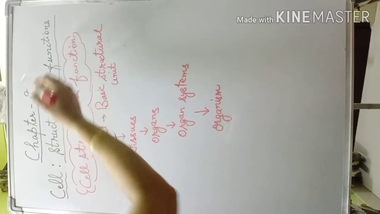 Class VIII Science Chapter 8 Cell - Structure and functions Video - 3 ...