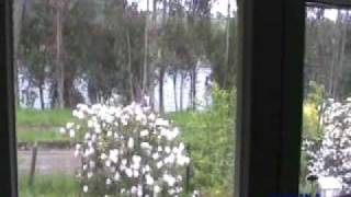 Agroturismo Aguas Cantarinas - Freire, Turismo rural multicultural