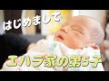 【命名】次男の名前を発表します!【5人目】 の動画、YouTube動画。