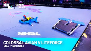 Colossal Avian V Liteforce 30Lb Qf, Nhrl 2025 May Round 4
