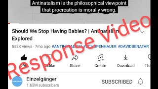 Should We Stop Having Babies? Antinatalism Explored | Response To @Einzelgänger