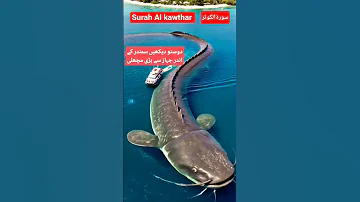 Surah Al Kawthar سورۃالکوثر Egzon Ibrahimi Quranrecitation Youtubeshorts Beautiful 