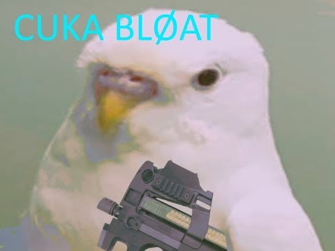 No hack, Flusha is my dog | CSGO