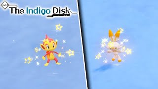 HOW TO *EASILY* FIND SHINY SCORBUNNY & CHIMCHAR IN POKEMON VIOLET! Indigo Disk DLC