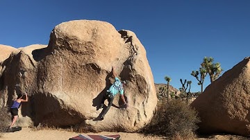 Joshua Tree - Scuttlebutt (Direct)