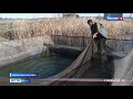 В Камешкирском районе создали полный цикл промышленного разведения рыбы