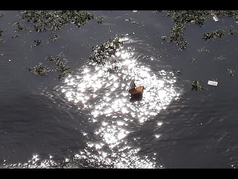 ভিডিও: দুর্ঘটনায় ক্ষতির পরিমাণ কীভাবে নির্ধারণ করবেন