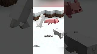 Baby Polar Bears Attack Foxes In Java