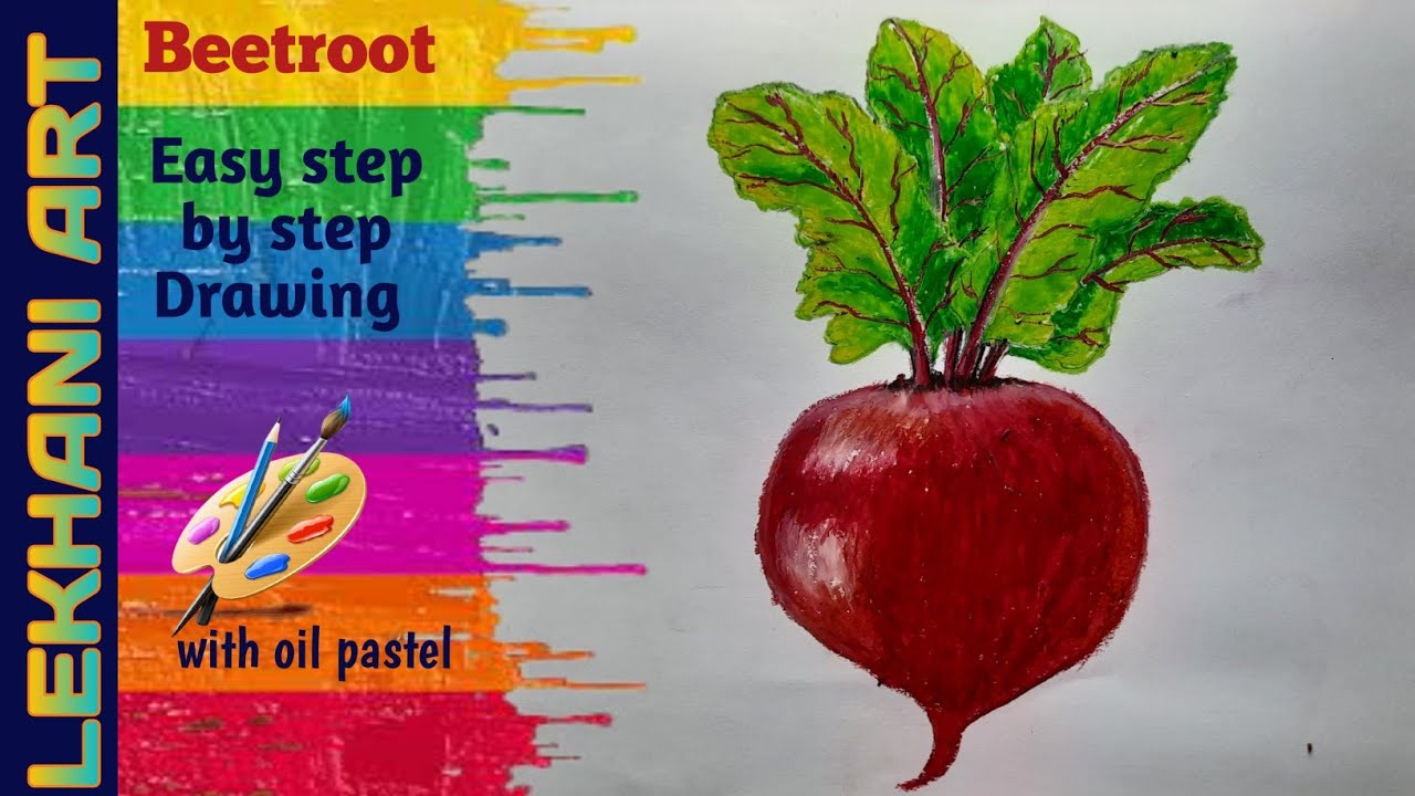 How To Draw A beetroot Easy Step By Step Beetroot Drawing Easy