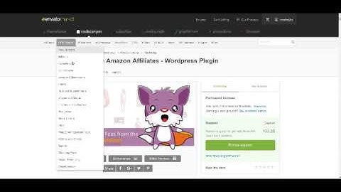 Watch Before You Buy: AA-TEAM Woozone eStore Affiliates Amazon Wordpress Plugin Exposed