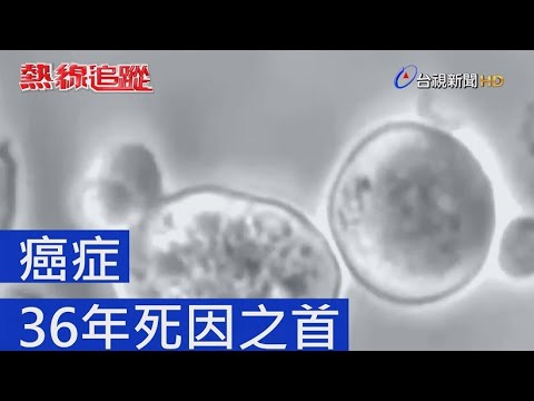教育部成語字典 熱線追蹤 - 癌症 36年死因之首