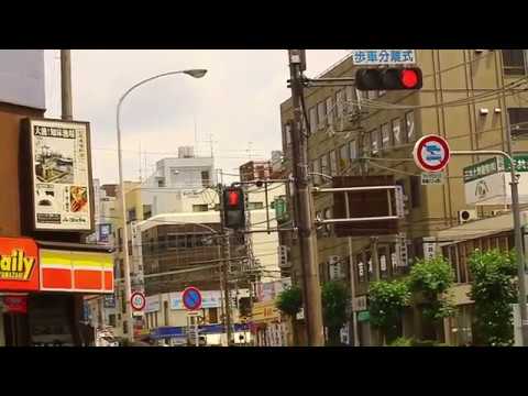 変な鳴き方 同種鳴き交わしの鳥混合 小糸 号 音響式信号機