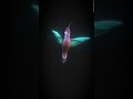 3D figure of a hummingbird #()