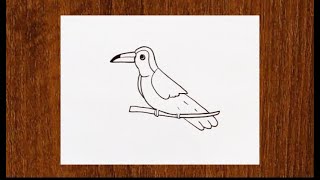 How to draw a TOUCAN step by step