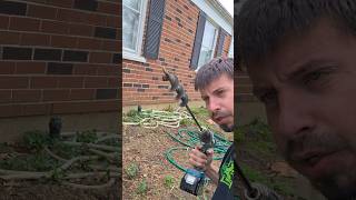 Anyone Else Planting Plants Like Crazy Right Now plants gardening flowers spring mobuds314