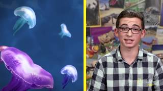 What Is Bioluminescence? Nat Geo Kids Deep-Sea Creatures Playlist
