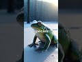 5 Wildlife Facts You Won’t Believe
