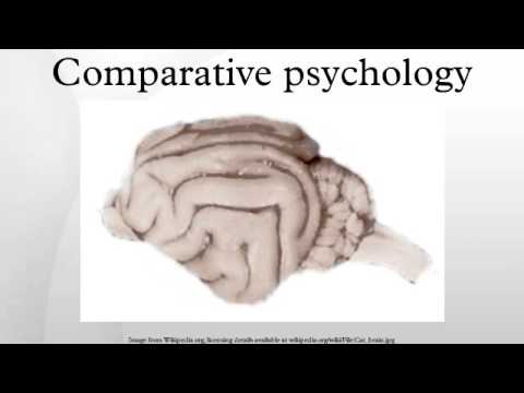 Comparative psychology