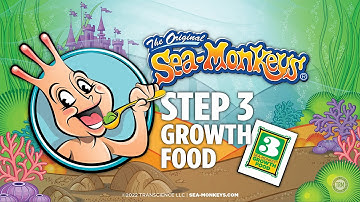 Step 3 - Growth Food | The Original Sea-Monkeys®