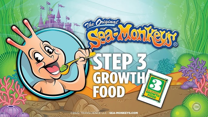 Sea Monkey Eggs Instant Life – Munchkin Land Kids