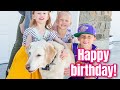 Last birthday? Celebrating 13 year old family dog | Meet the Millers Family Vlogs