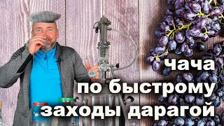 Вкусный виноградный мацерат или быстрый способ приготовить фруктовый бренди.