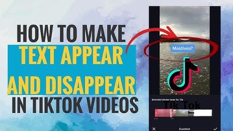 How to Make Text Appear and Disappear in TikTok Videos