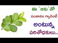 Health Benefits of Guava Leaves | Manandari Health