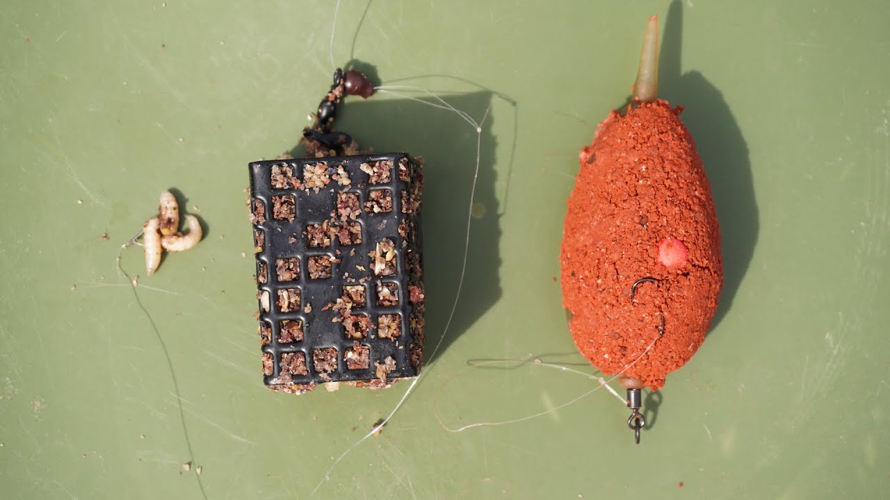 Lov kaprů - Method VS Klasický feeder s červem. Co je lepší ?!