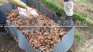 【家庭菜園】落ち葉で簡単土作り|堆肥腐葉土の作り方温床