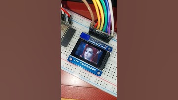 ESP32-S3/CircuitPython 8.1.0-beta.0 play GIF on ST7789 IPS display