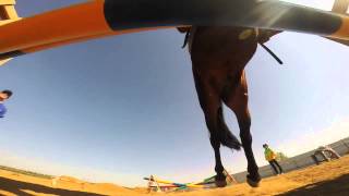 Тренировки по прыжкам. Training of horse jumping. GoPro