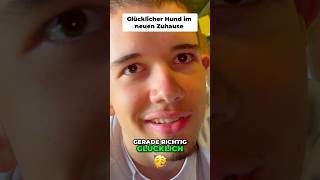 Auspuff Tausch bei der alten SX 🫶🏼🔥 #moped #automobile #mopedtuning #50ccmotor #supermoto #ktm