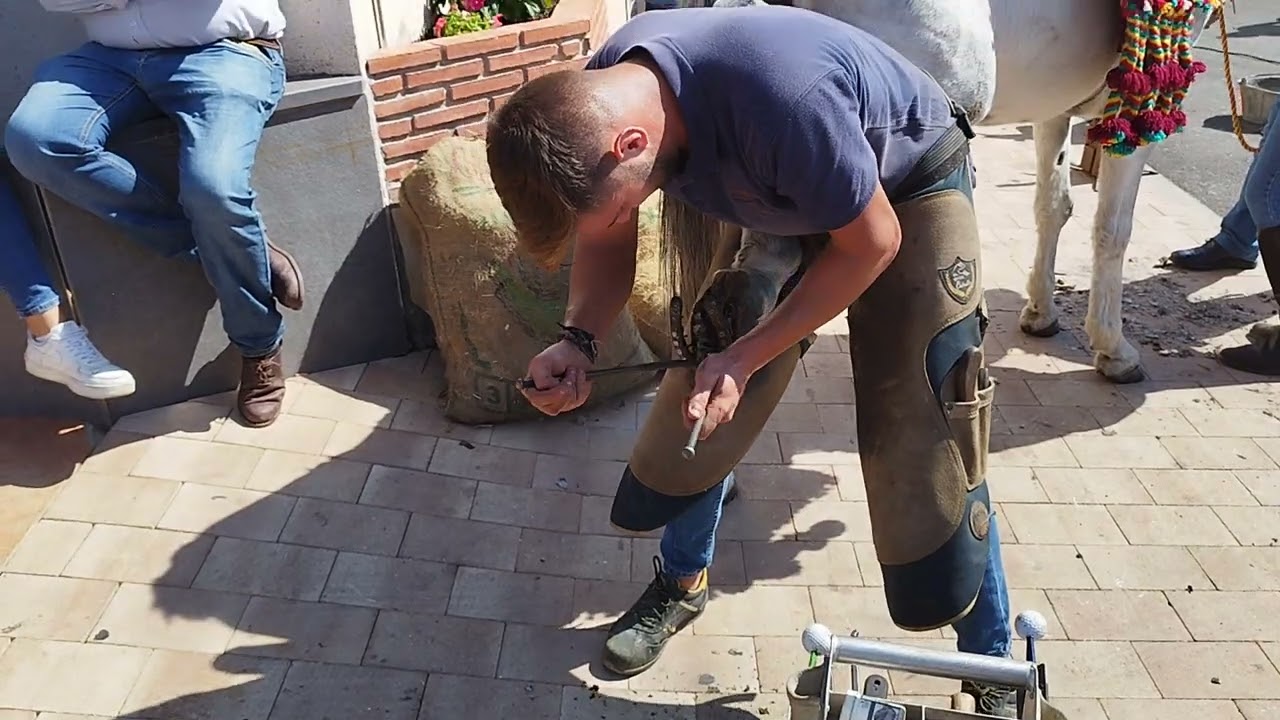 Arenas, Feria de la Mula 2023