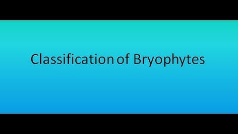 Classification of Bryophytes | For B.Sc. and M.Sc.