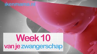10 weken zwanger | ikenmama.nl