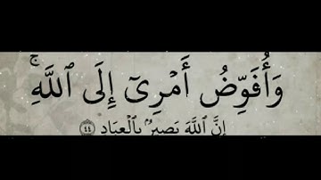 خالد جليل ♥️حالات واتس 💙 سوره غافر