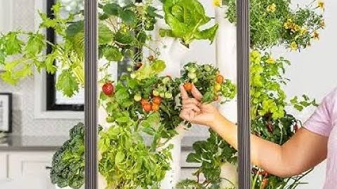 Gardyn 2.0 Review (Still Holds Up?) + Where to Get the New 4.0