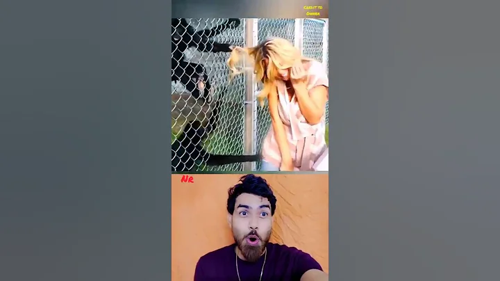 Video 11878411: laugh cats dogs funny, laugh cats funny animal