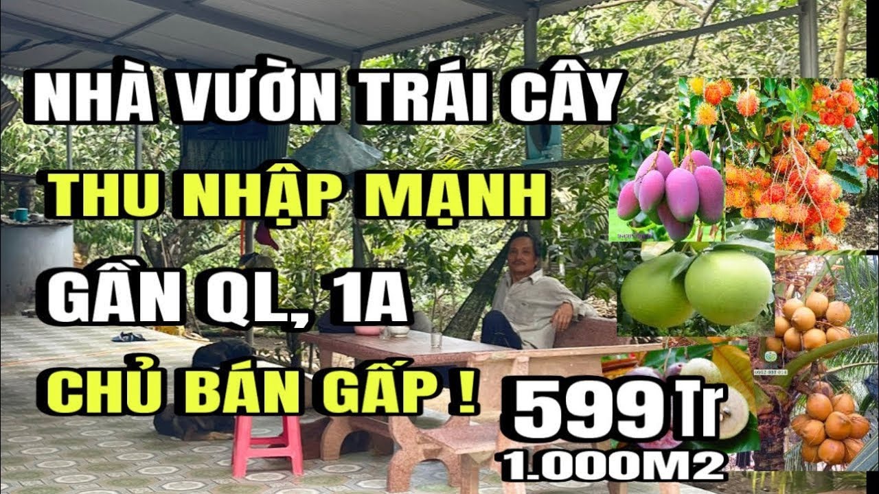Chính chủ cần bán gấp, nhà vườn, trái cây, ao cá, thổ cư, đang cho thu nhập mạnh, Huyện Xuân lộc cũ