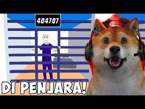 Video: 6 Cara untuk Membantu Anjing Penyelamat Anda Mengendap di Rumah Barunya